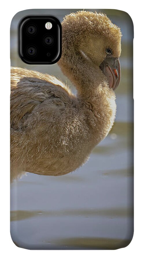 Baby Flamingo - Phone Case