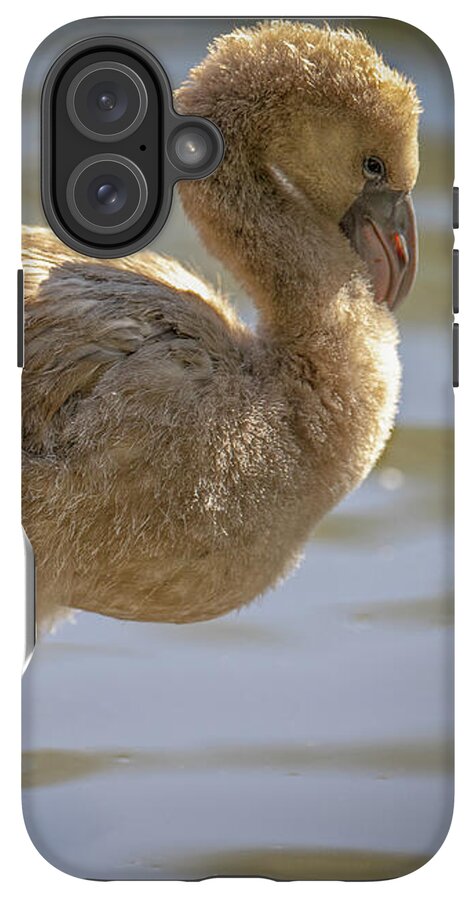 Baby Flamingo - Phone Case