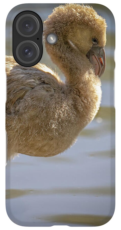 Baby Flamingo - Phone Case