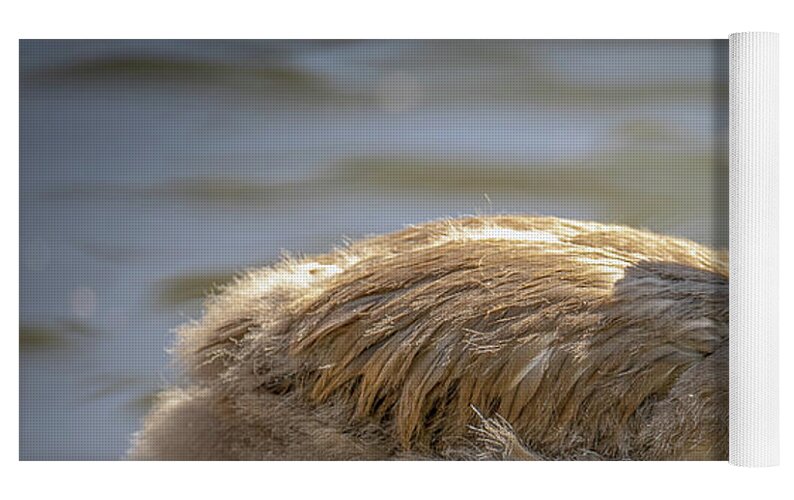 Baby Flamingo - Yoga Mat