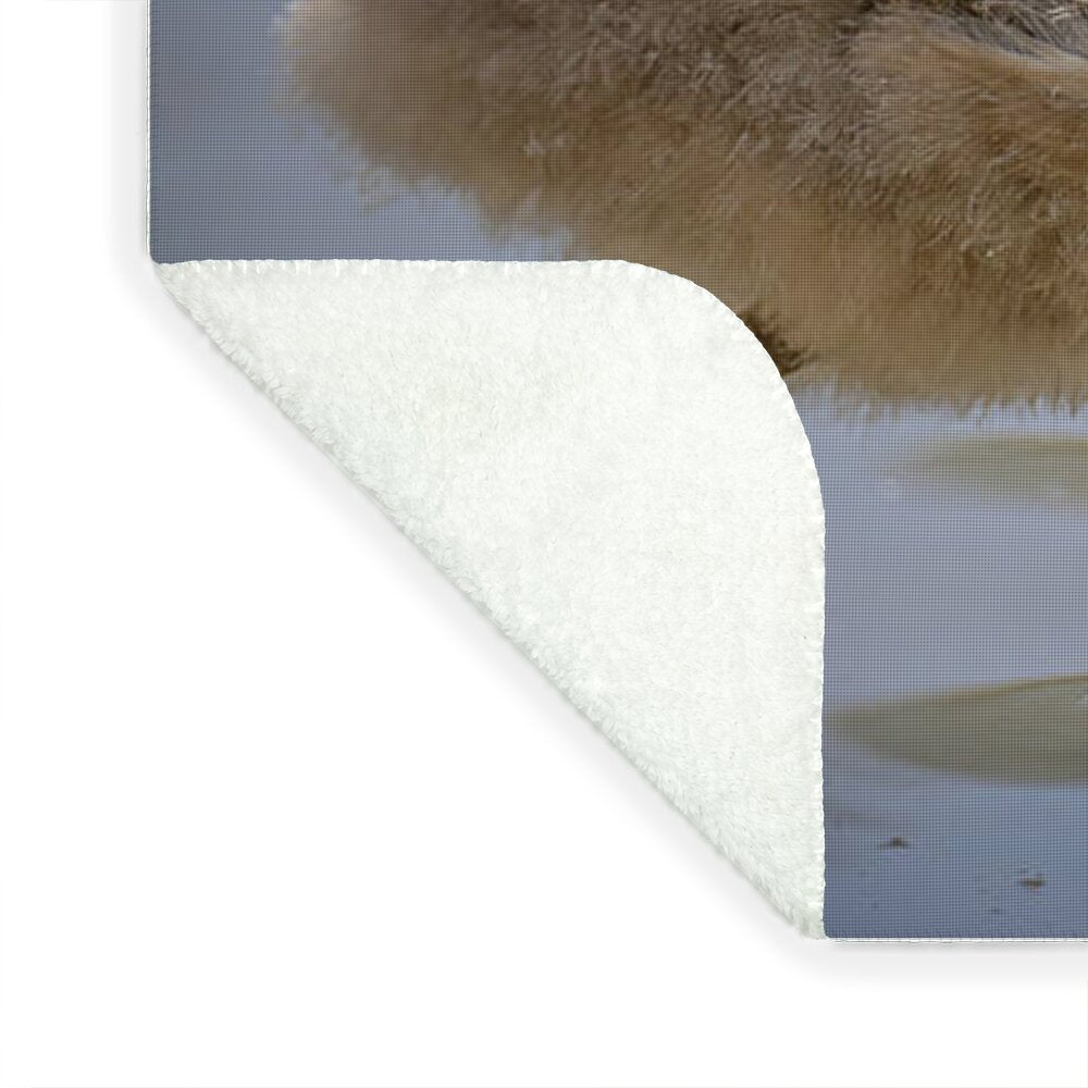 Baby Flamingo - Blanket