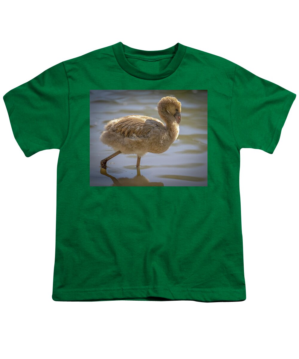 Baby Flamingo - Youth T-Shirt