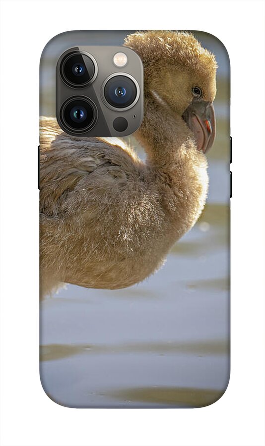 Baby Flamingo - Phone Case