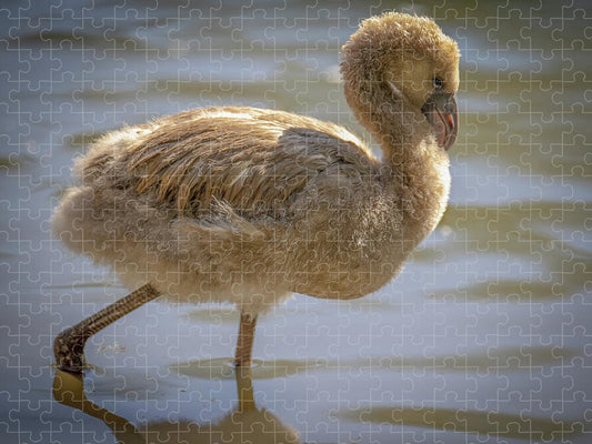 Baby Flamingo - Puzzle