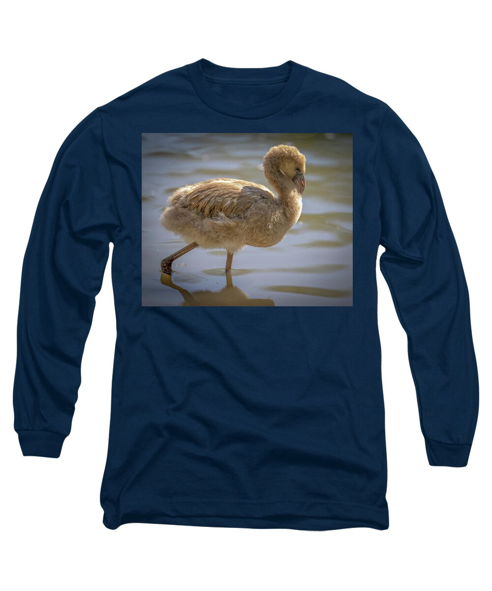 Baby Flamingo - Long Sleeve T-Shirt