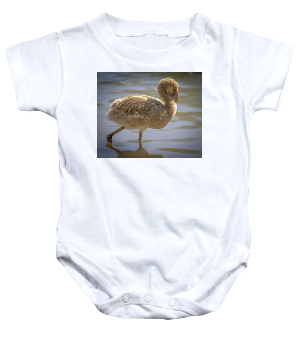 Baby Flamingo - Baby Onesie