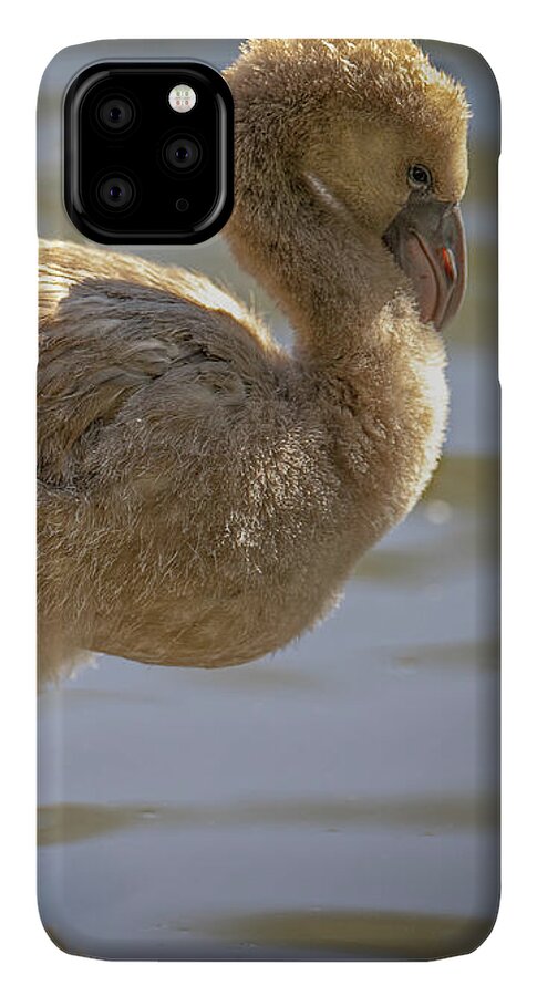 Baby Flamingo - Phone Case