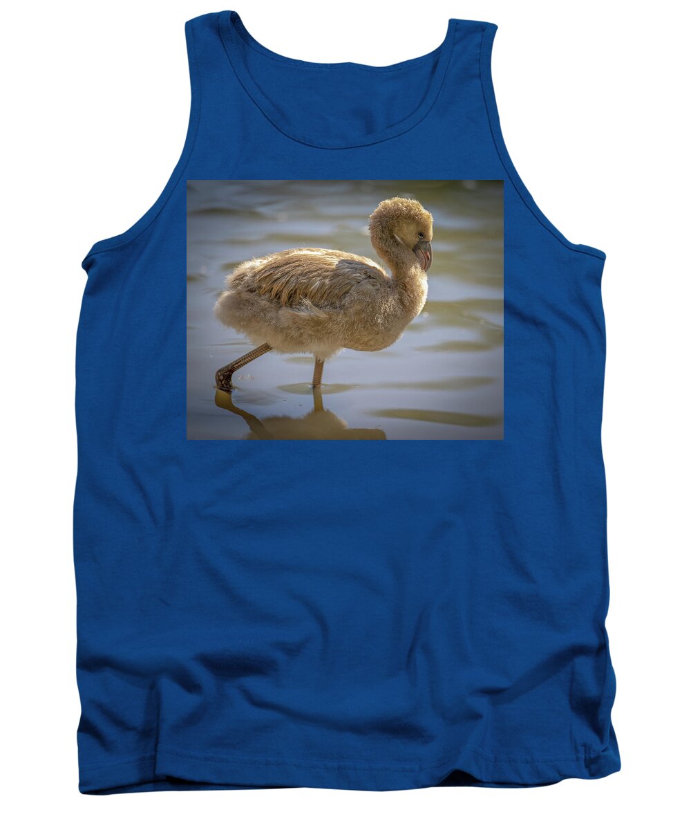 Baby Flamingo - Tank Top
