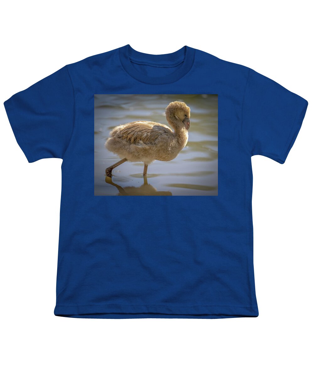 Baby Flamingo - Youth T-Shirt
