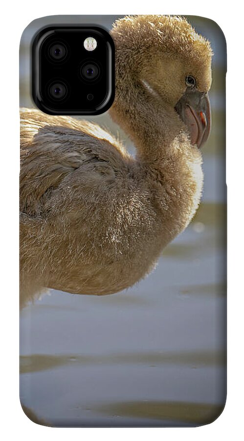 Baby Flamingo - Phone Case