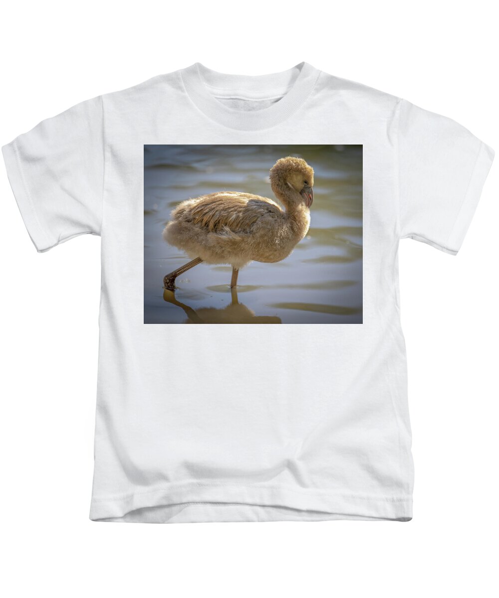 Baby Flamingo - Kids T-Shirt