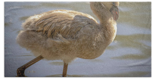 Baby Flamingo - Beach Towel