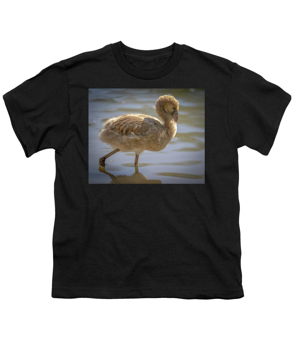 Baby Flamingo - Youth T-Shirt