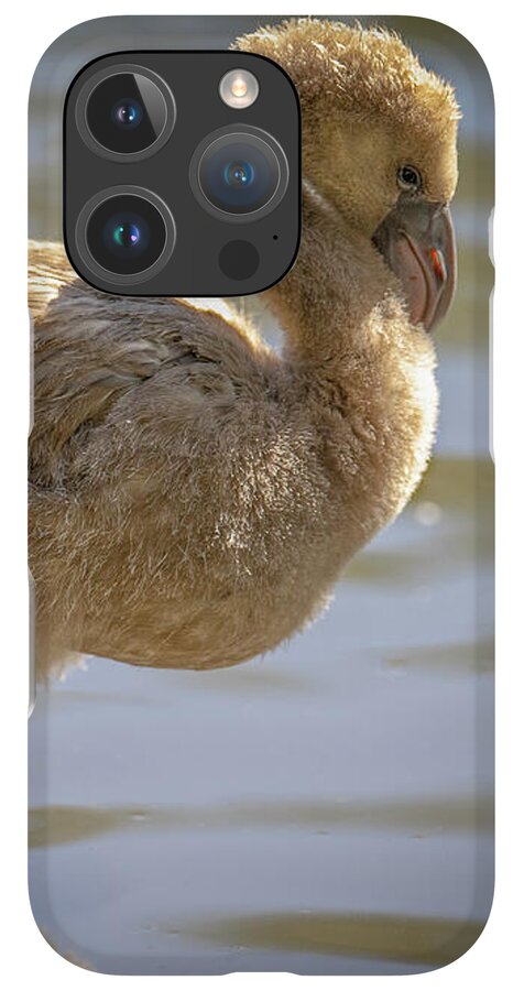 Baby Flamingo - Phone Case