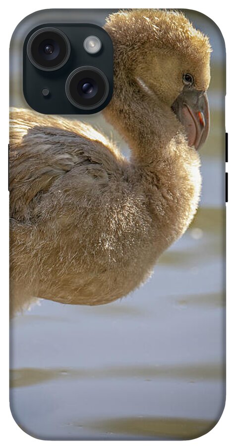 Baby Flamingo - Phone Case