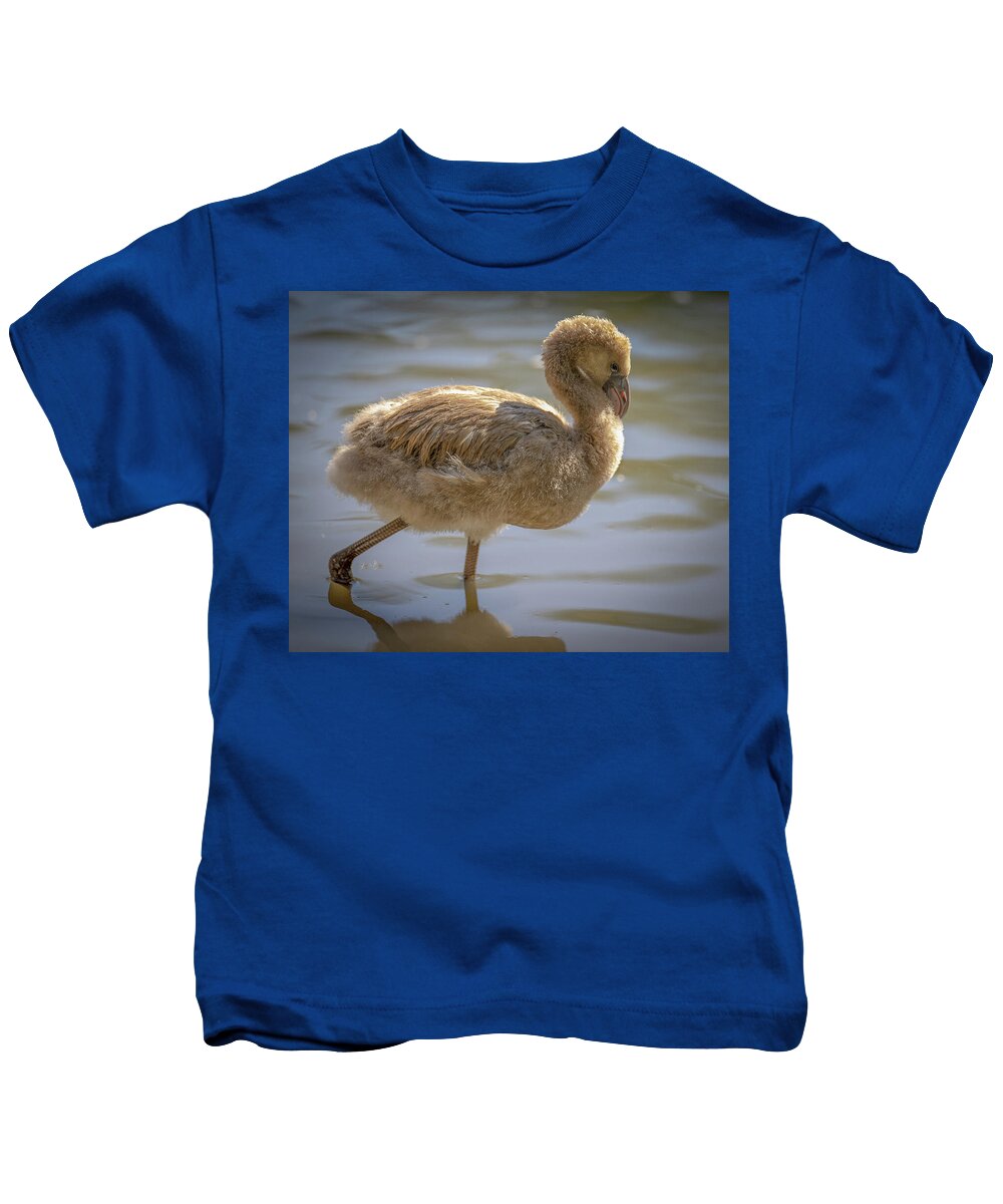 Baby Flamingo - Kids T-Shirt