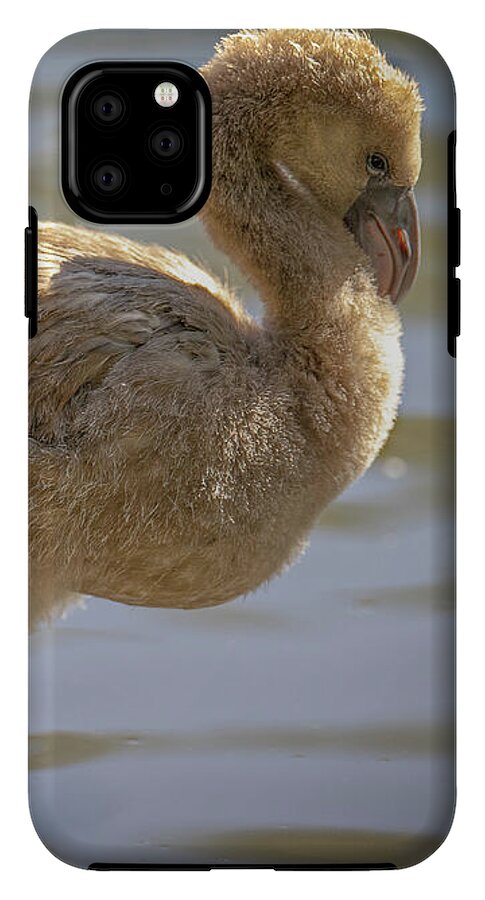 Baby Flamingo - Phone Case
