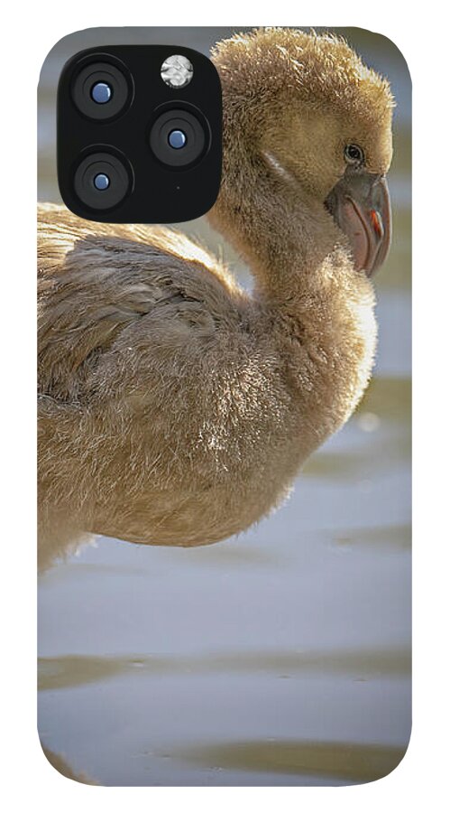 Baby Flamingo - Phone Case