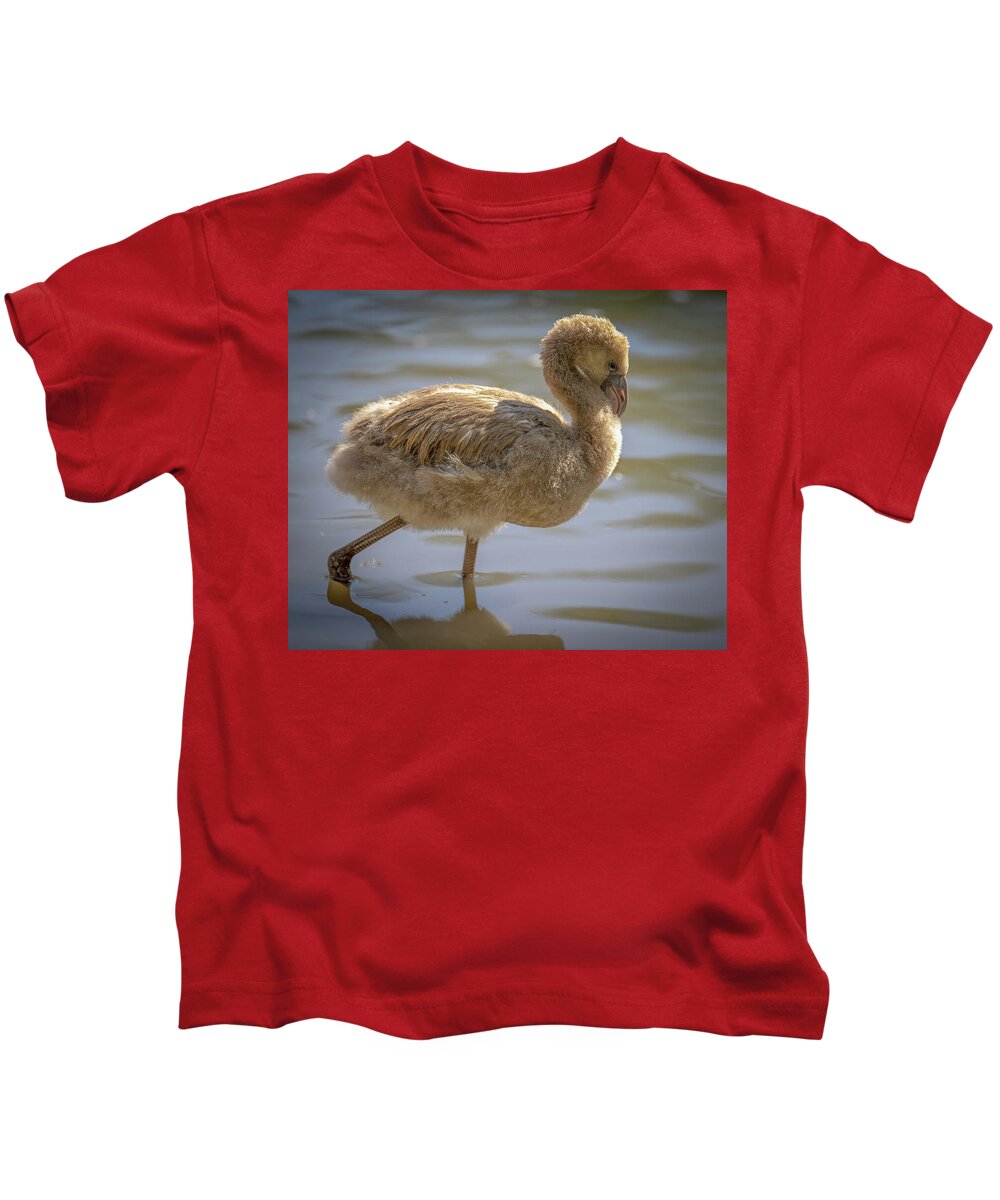 Baby Flamingo - Kids T-Shirt