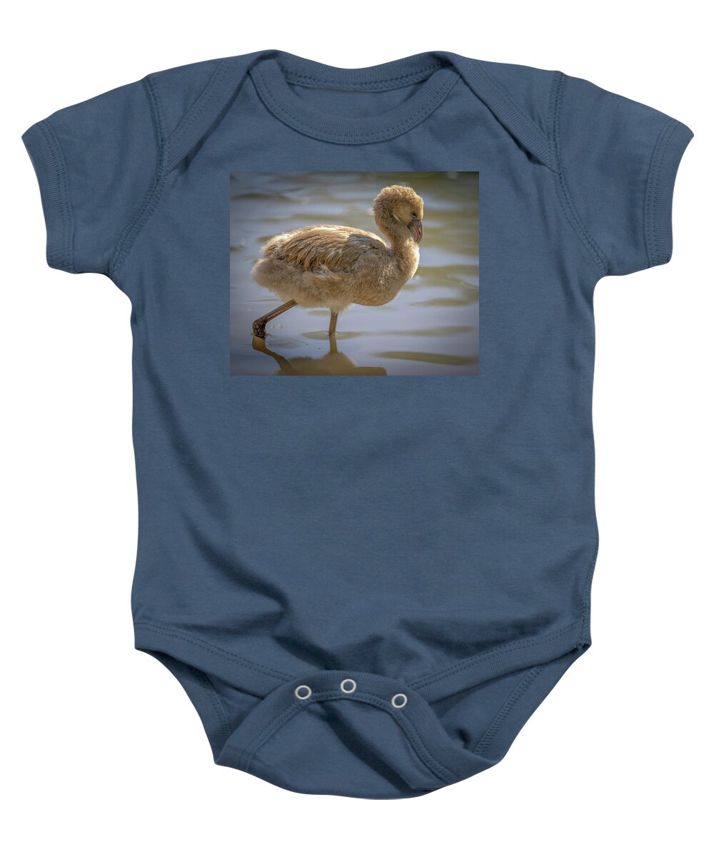 Baby Flamingo - Baby Onesie