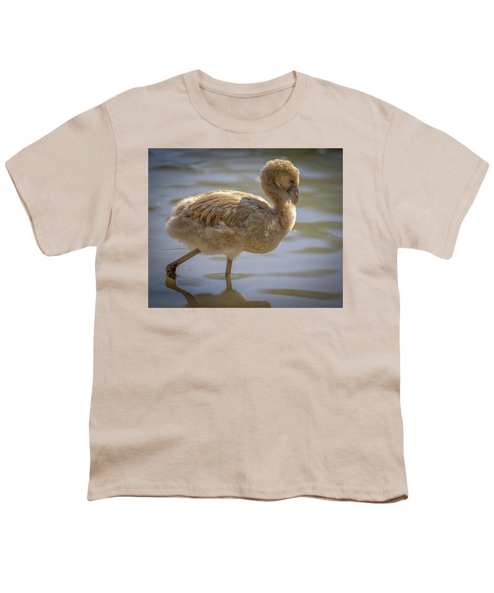 Baby Flamingo - Youth T-Shirt