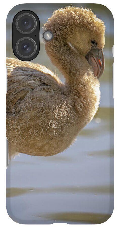 Baby Flamingo - Phone Case