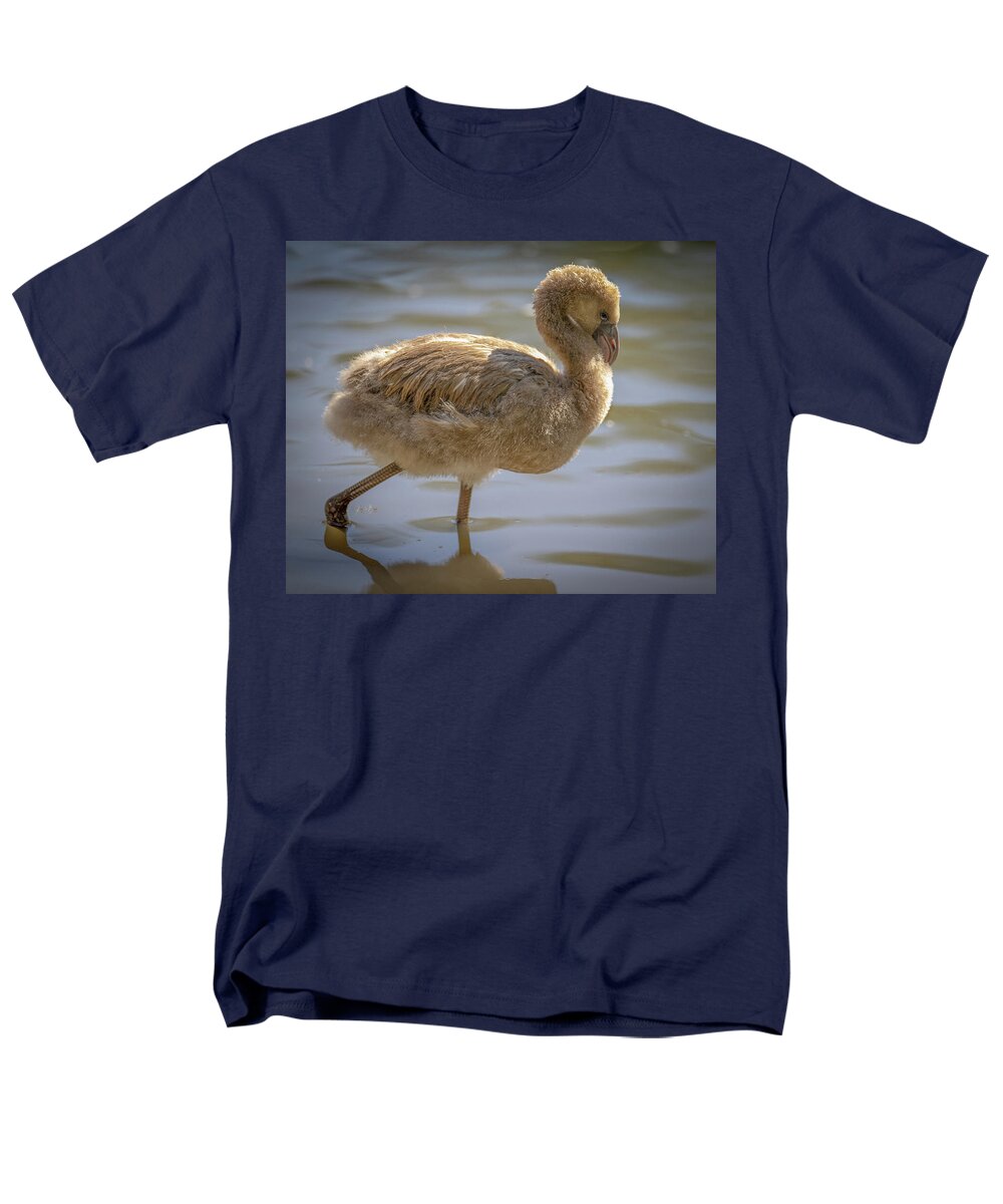 Baby Flamingo - Men's T-Shirt  (Regular Fit)