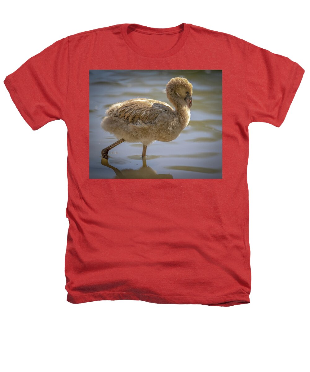 Baby Flamingo - Heathers T-Shirt
