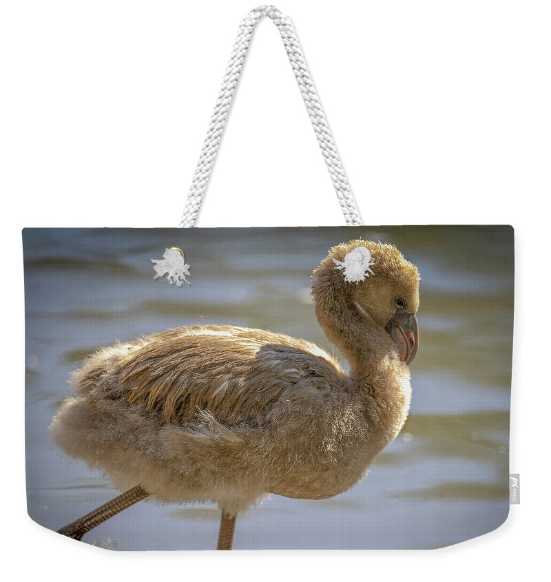 Baby Flamingo - Weekender Tote Bag