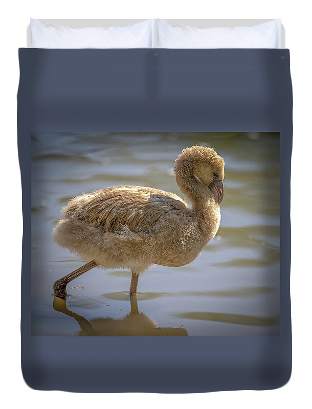 Baby Flamingo - Duvet Cover
