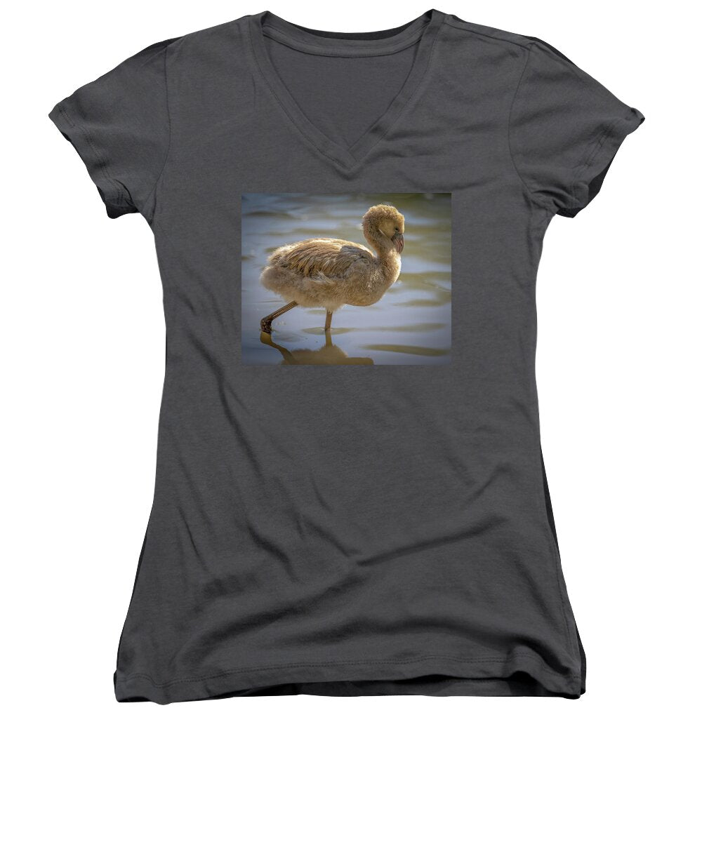 Baby Flamingo - Women's V-Neck