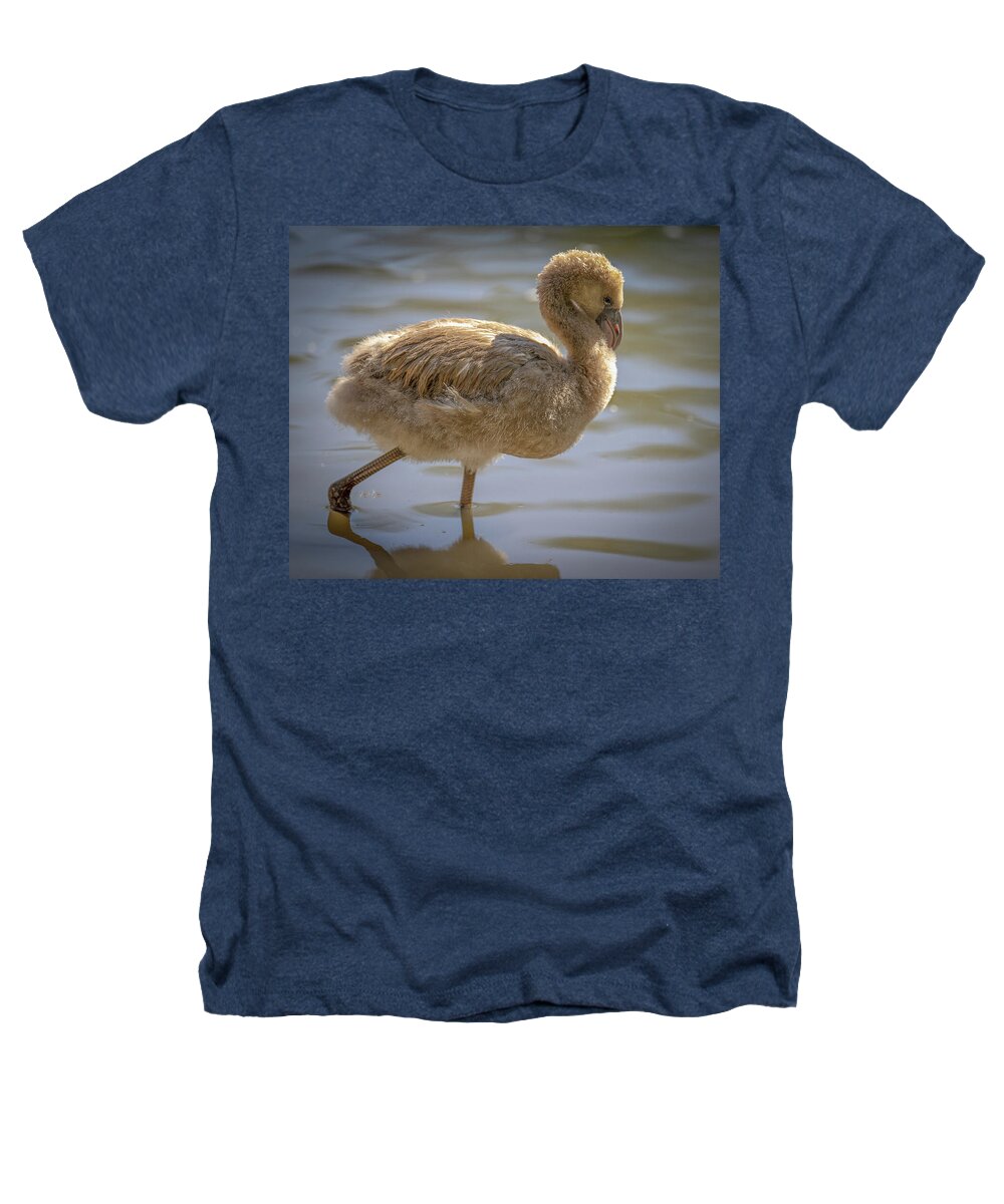 Baby Flamingo - Heathers T-Shirt