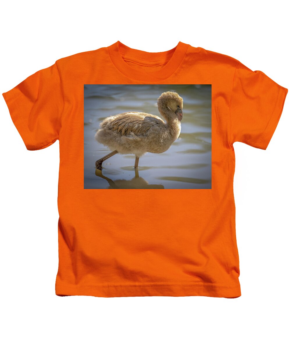 Baby Flamingo - Kids T-Shirt