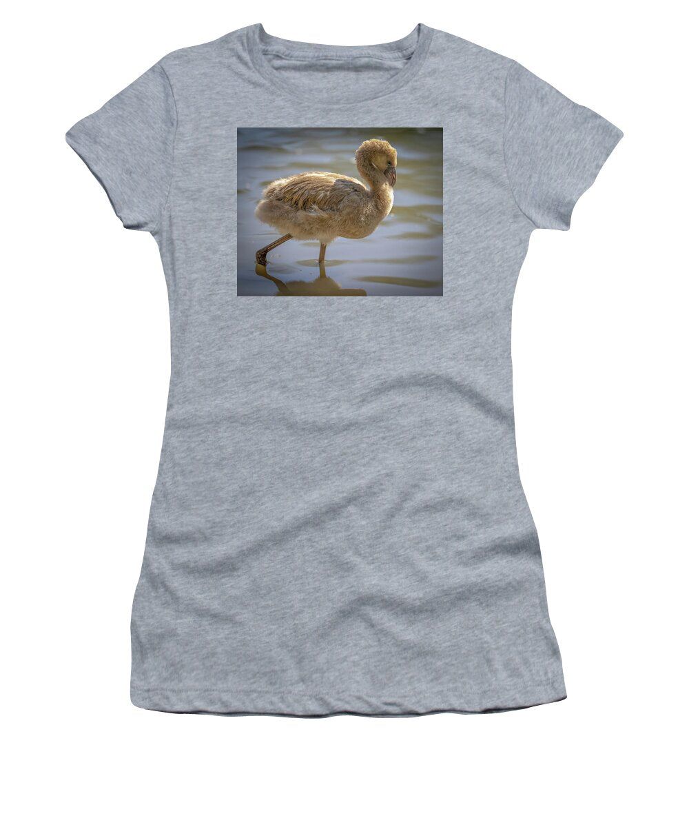 Baby Flamingo - Women's T-Shirt