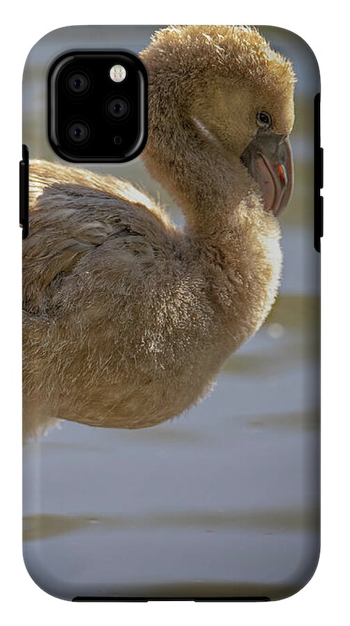 Baby Flamingo - Phone Case