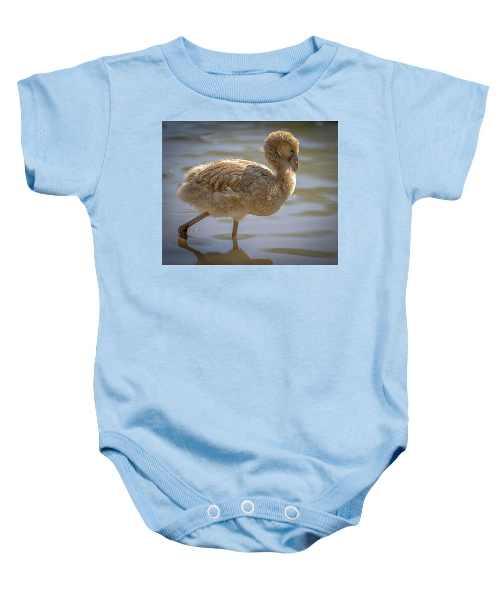 Baby Flamingo - Baby Onesie