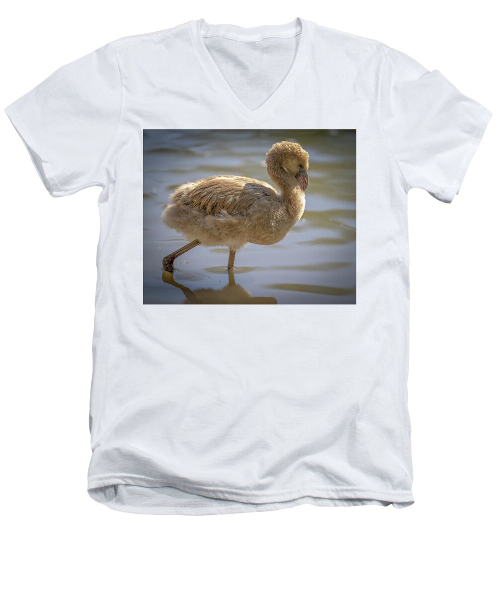 Baby Flamingo - Men's V-Neck T-Shirt
