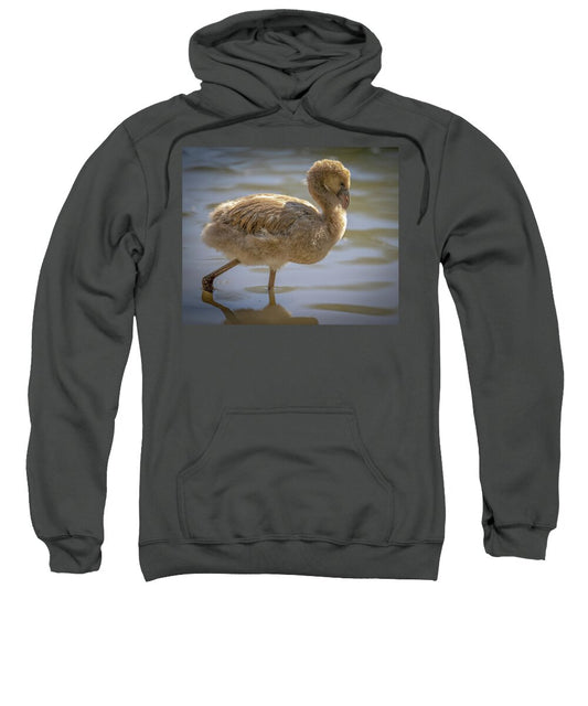 Baby Flamingo - Sweatshirt