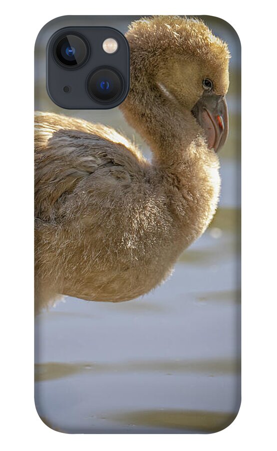 Baby Flamingo - Phone Case
