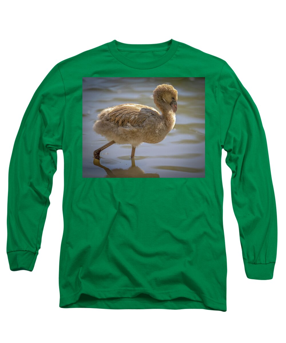 Baby Flamingo - Long Sleeve T-Shirt