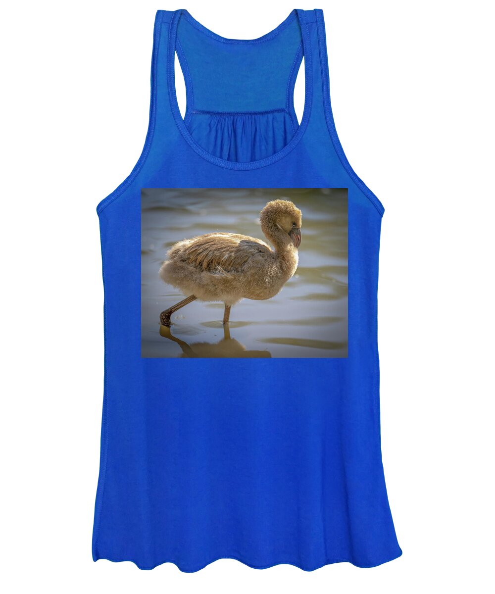 Baby Flamingo - Women's Tank Top