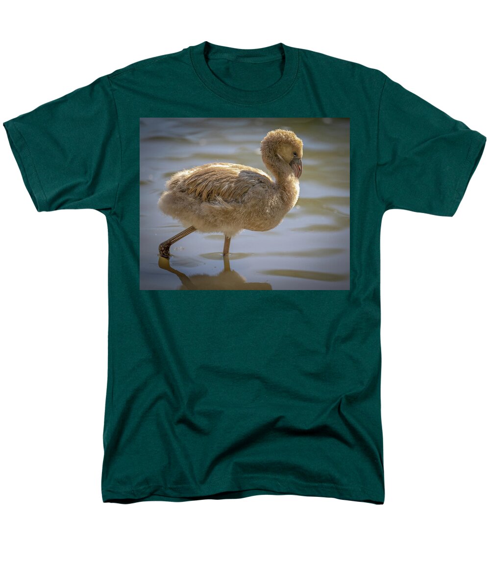 Baby Flamingo - Men's T-Shirt  (Regular Fit)