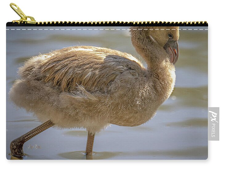 Baby Flamingo - Zip Pouch