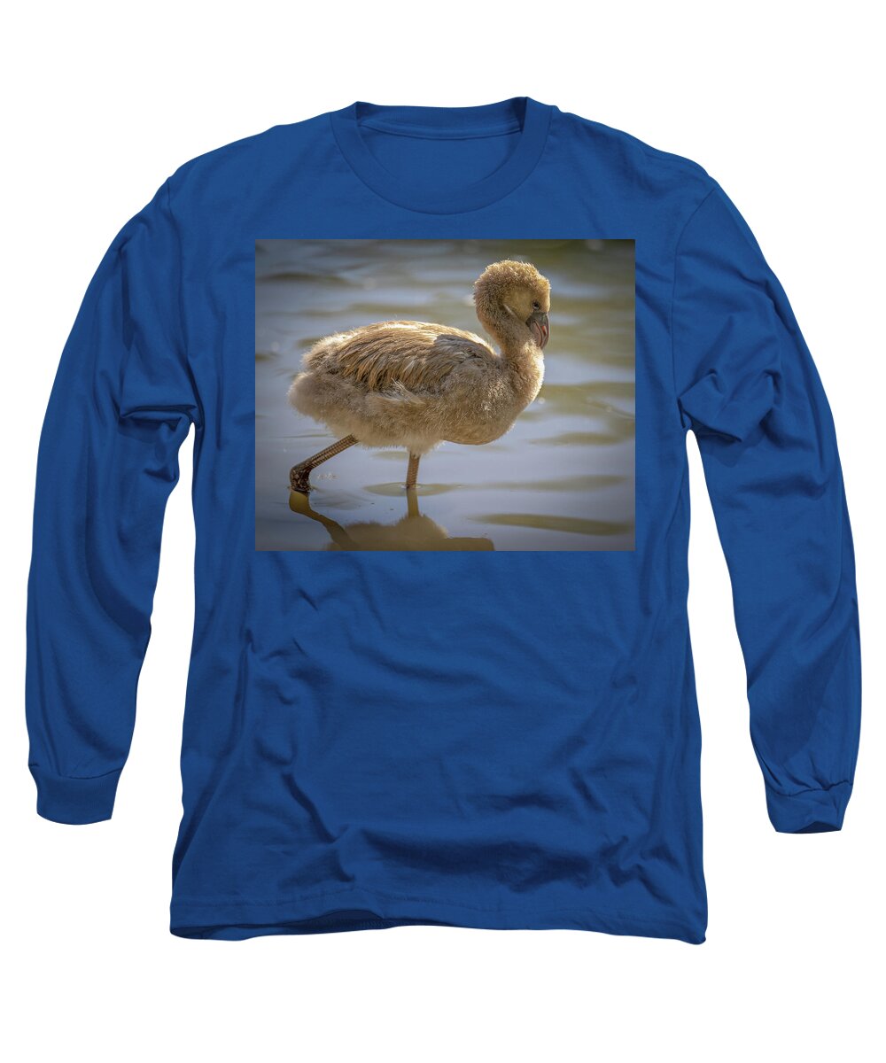 Baby Flamingo - Long Sleeve T-Shirt