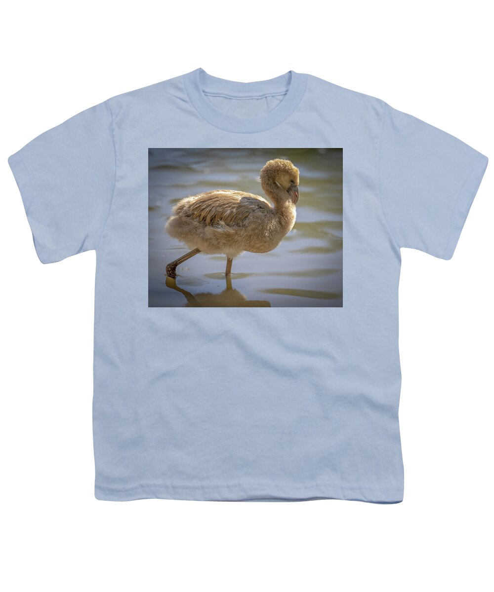 Baby Flamingo - Youth T-Shirt