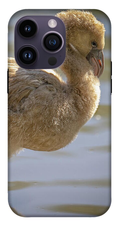 Baby Flamingo - Phone Case