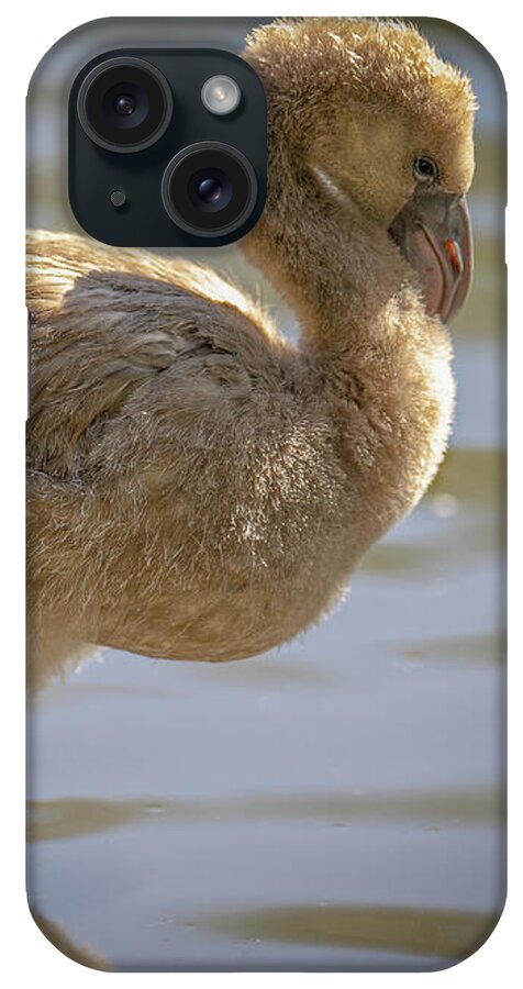 Baby Flamingo - Phone Case
