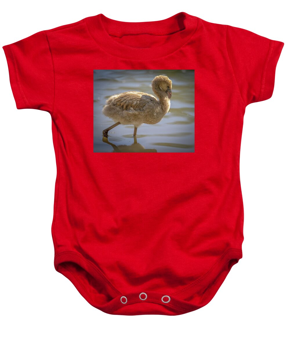 Baby Flamingo - Baby Onesie