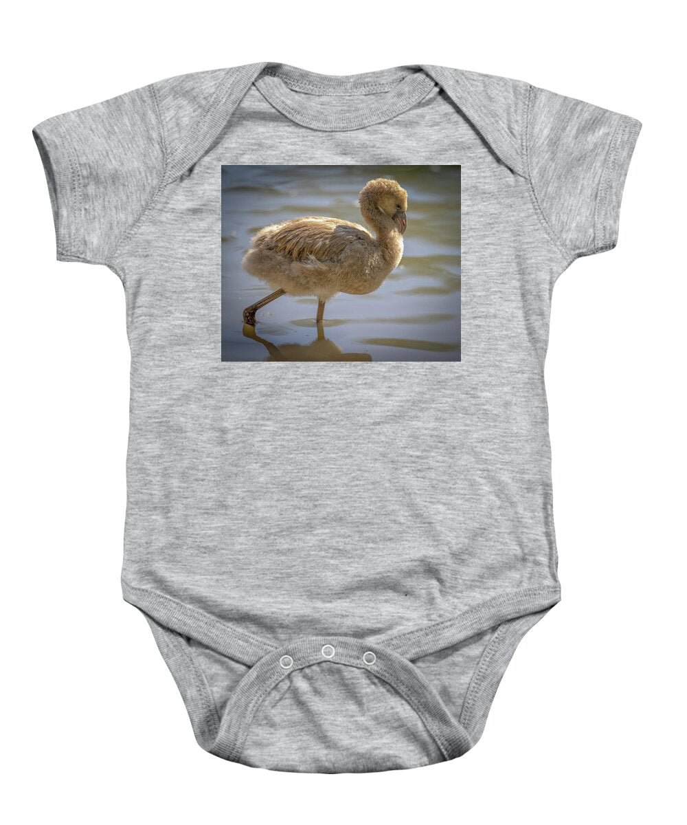 Baby Flamingo - Baby Onesie