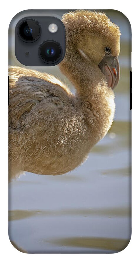 Baby Flamingo - Phone Case